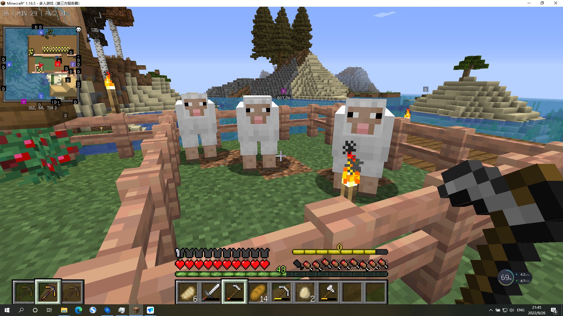 F1 2024 豪华版 截图3