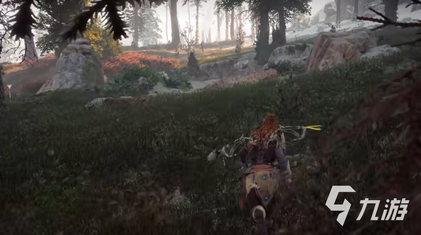 森林 年度版 截图13